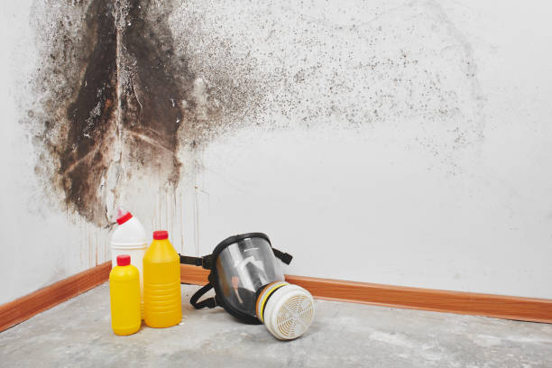 Crawl Space Mold Removal in Baldwin, WI