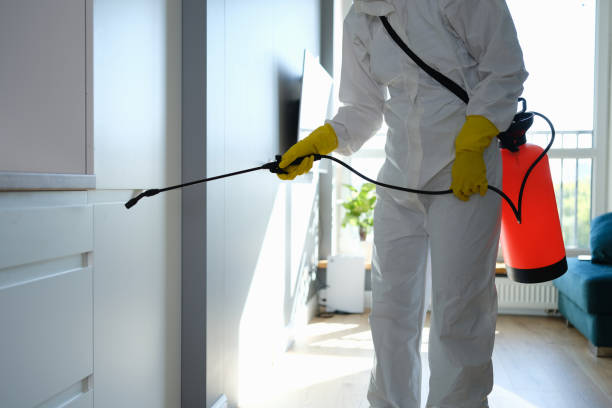 Best Emergency Mold Removal  in Baldn, WI