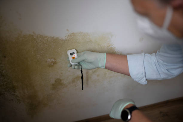 Best Residential Mold Removal  in Baldn, WI