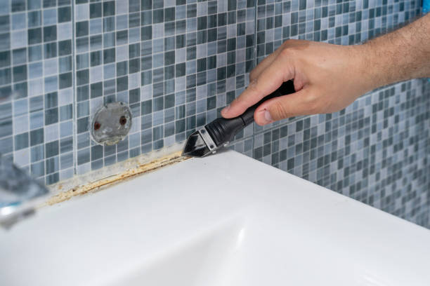 Best Affordable Mold Removal  in Baldn, WI