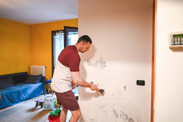 Mold Removal and Inspection in Baldwin, WI