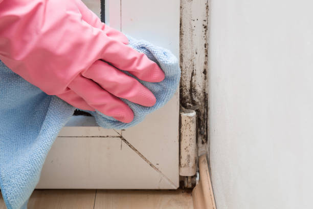 Best Mold Cleaning Services  in Baldn, WI